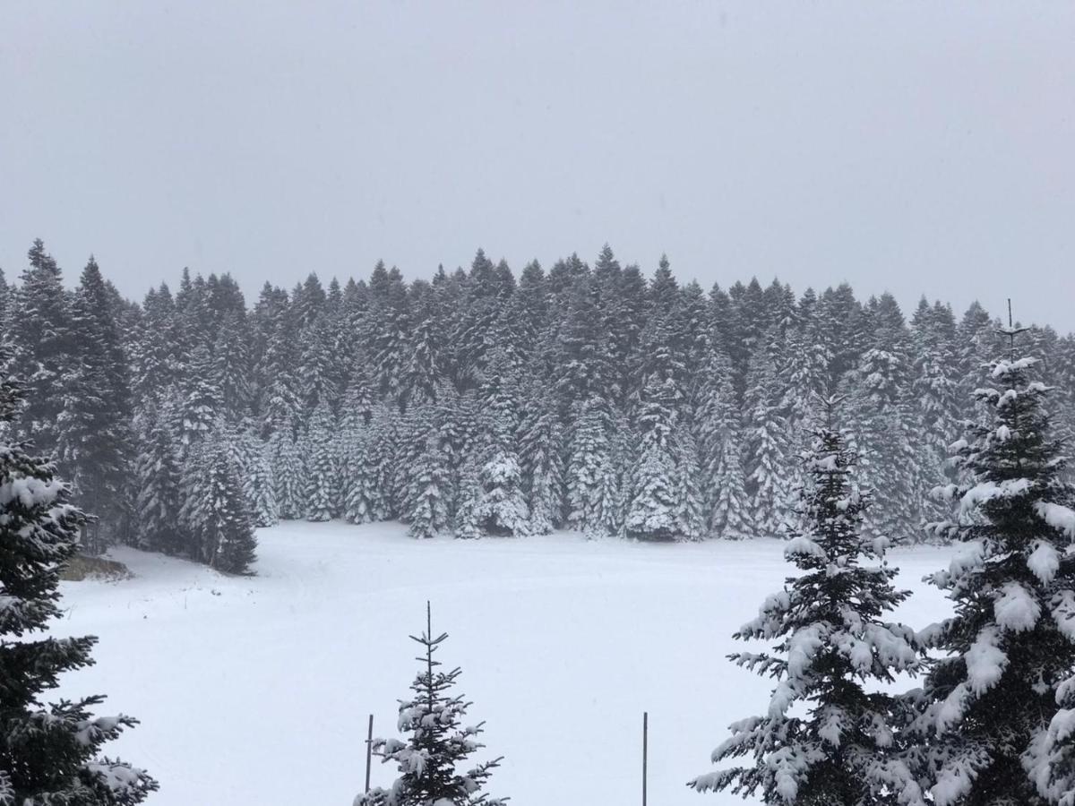 Elifim Resort Hotel Bolu Exterior photo