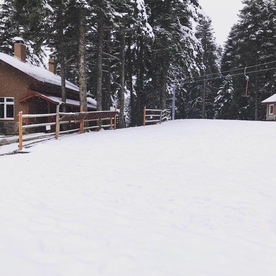 Elifim Resort Hotel Bolu Exterior photo