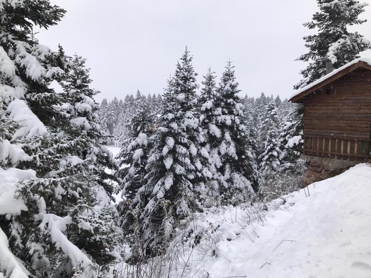 Elifim Resort Hotel Bolu Exterior photo